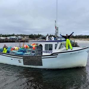 Meet your Posher, Paula